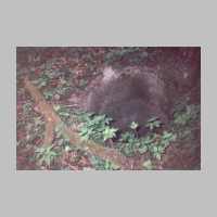 029-1003 Klein Michelau - Die Reste des Brunnens auf dem Anwesen Otto Braun im Jahre 1996.jpg